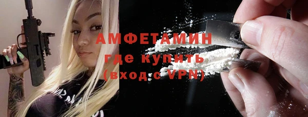 ПСИЛОЦИБИНОВЫЕ ГРИБЫ Дмитриев
