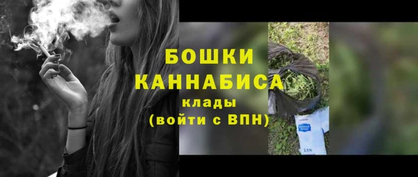 ПСИЛОЦИБИНОВЫЕ ГРИБЫ Дмитриев