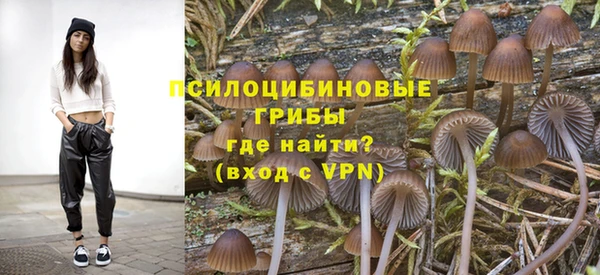 первитин Дмитров