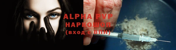 ПСИЛОЦИБИНОВЫЕ ГРИБЫ Дмитриев