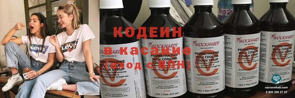 ПСИЛОЦИБИНОВЫЕ ГРИБЫ Дмитриев