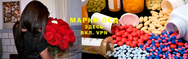 ПСИЛОЦИБИНОВЫЕ ГРИБЫ Дмитриев