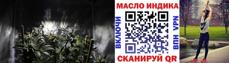 Купить Каргат ТГК концентрат